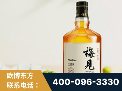 曲靖-梅见青梅酒